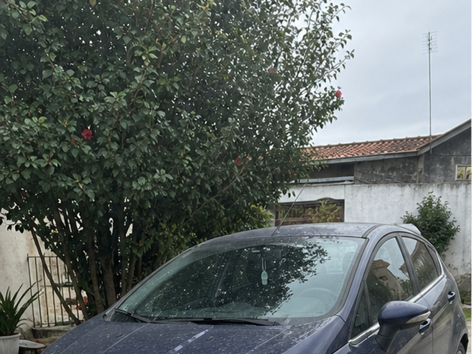 Venda premium: antes